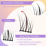 MAYCREATE False Eyelash Extension Kit for Daily or Party Makeup with 10 Sets 11mm Clusters