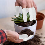 MAYCREATE 10pcs finger protection, Gel Finger Support Protector Gloves, Gel Finger Cots/Covers for Trigger Finger Hand Eczema Finger Cracking Finger Arthritis, White