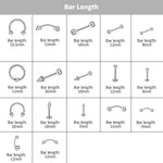 MAYCREATE Piercing Jewelry Set with 255 pcs Stainless Steel Rings for Nose Tongue and Belly | Unisex Body Art Collection