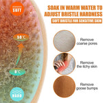 MAYCREATE Back Scrubber for Bathing with 14.5 in Wooden Handle featuring Dual-Sided Bristles | Natural Exfoliating and Massage Brush